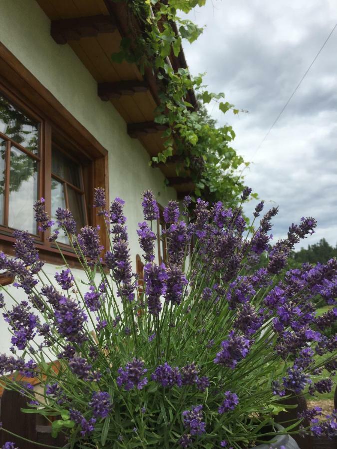 Bed and Breakfast Dom Rodziny Sojkow Białka Esterno foto